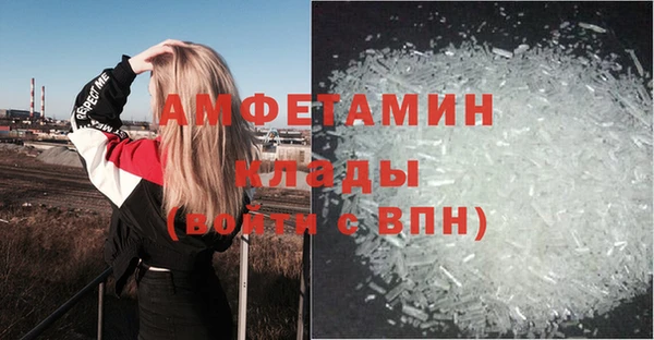 дживик Абаза