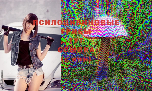 дживик Абаза