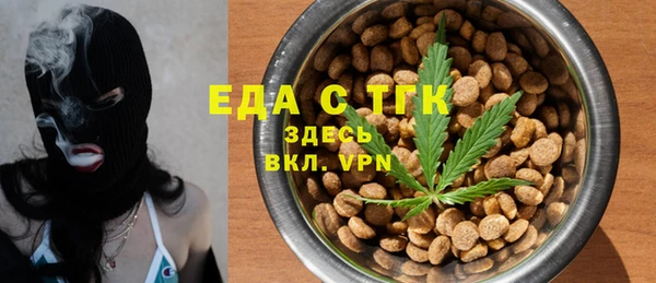 дживик Абаза