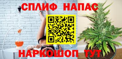 гидра Уссурийск