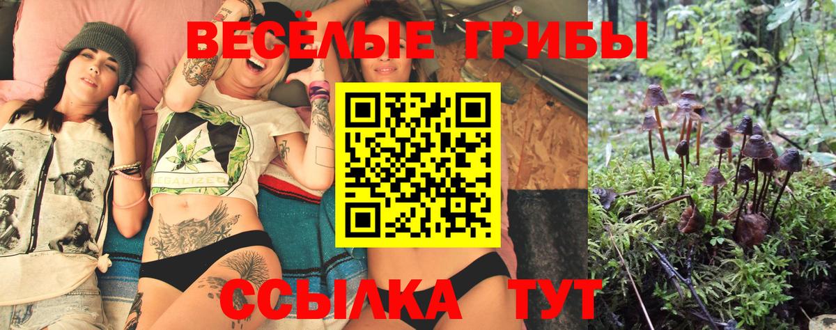 Псилоцибиновые грибы Psilocybine cubensis Татарск